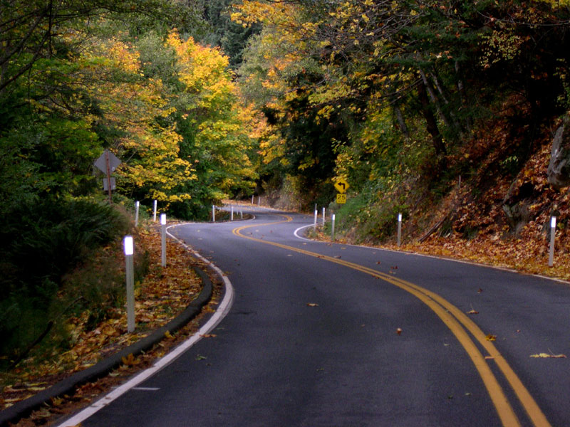 Chuckanut Drive