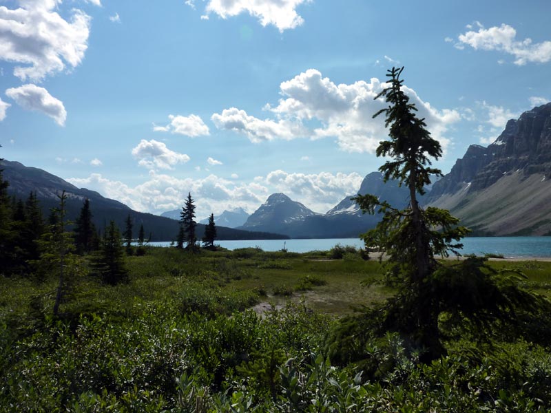 Bow Lake