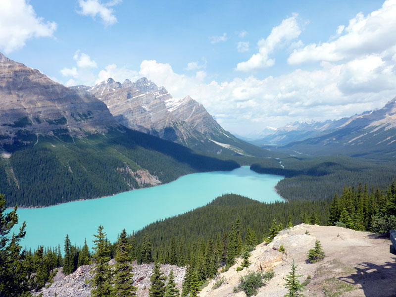 Peyto Lake