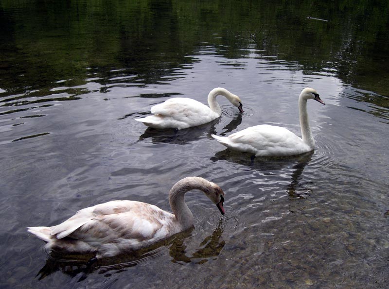 Linderhof