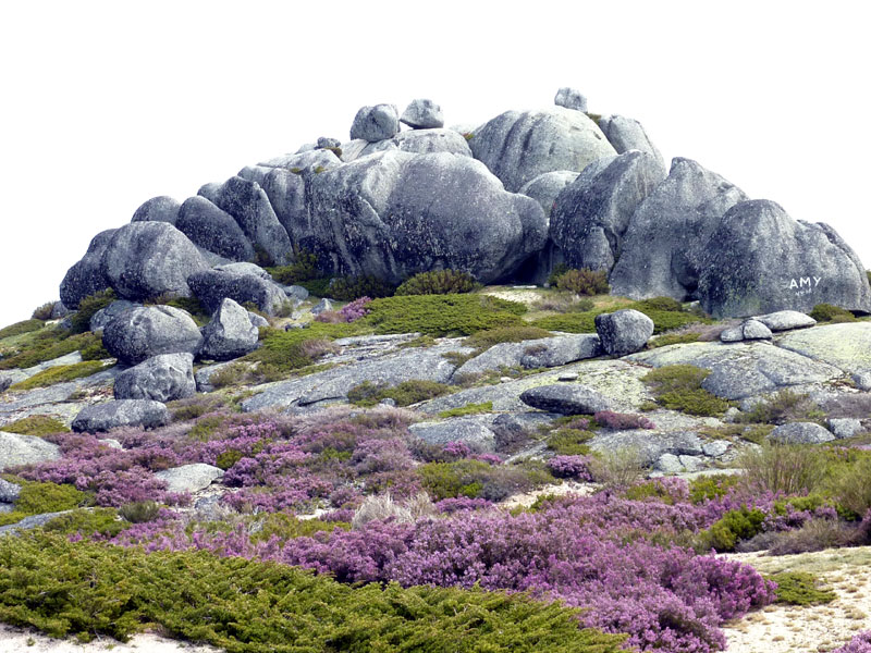 rocky outcrops