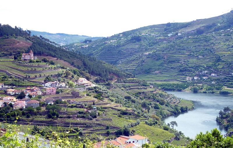 terraced hillsides