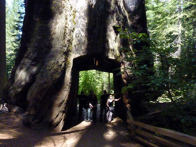 Yosemite National Park