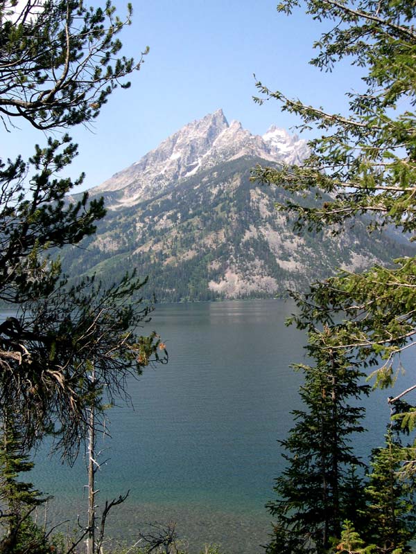 Jenny Lake