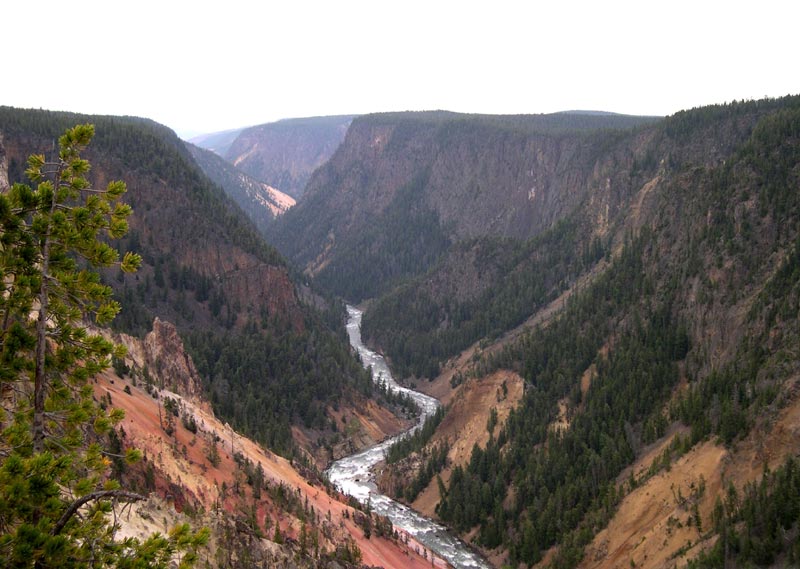 Grand Canyon of Yellowstone