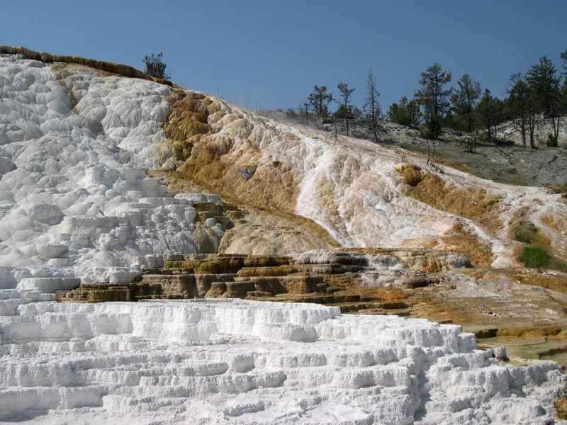 Mammoth Hot Springs