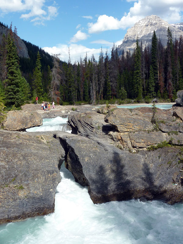 Kicking Horse River