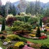 Butchart Garden