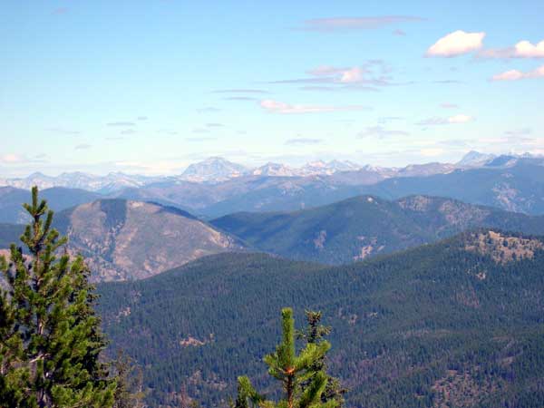 Wilderness Vista