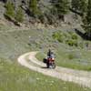 narrow one lane dirt road