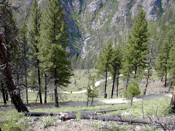 South Fork of the Salmon River