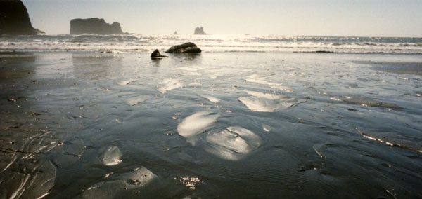 Northern Washington Coast