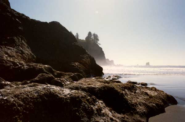 Northern Washington Coast