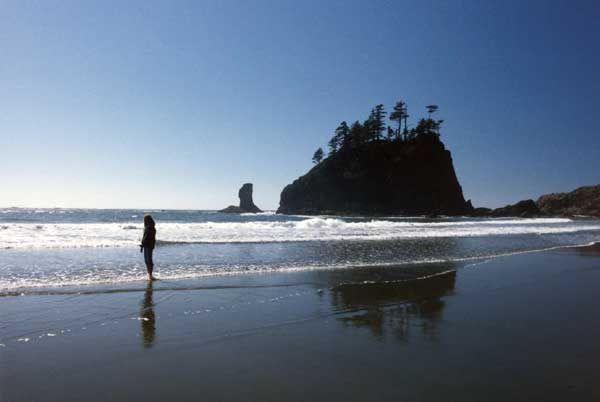 Northern Washington Coast