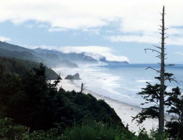 Oregon Coast